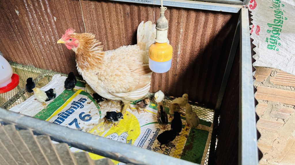 donate to community initiatives